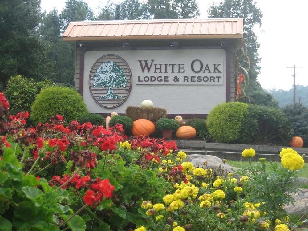 White Oak Lodge And Resort Pittman Center المظهر الخارجي الصورة